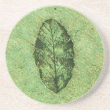 Fósil de hoja verde