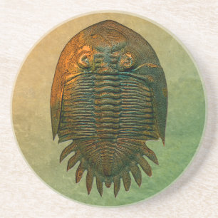 Posavasos De Arenisca Fósil Trilobite de Neometacanthus