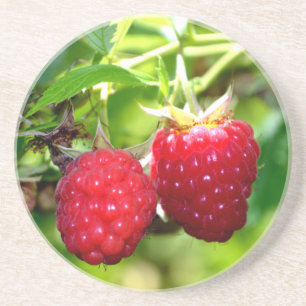 Posavasos De Arenisca Foto de moras frescas frambuesas fruta