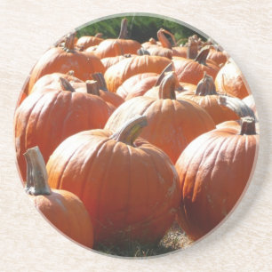 Posavasos De Arenisca Fotografía de calabazas para Caída, Halloween o Dí