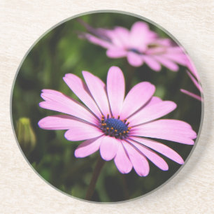 Posavasos De Arenisca Fotografía de Margarita Africana Morada