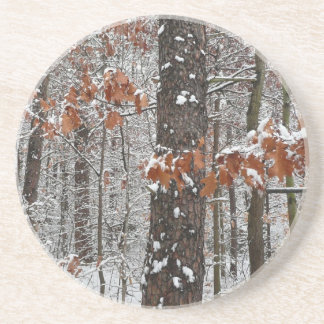 Posavasos De Arenisca Fotografía de naturaleza invernal de robles cubier