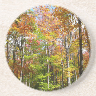 Posavasos De Arenisca Fotografía del paisaje otoñal del bosque otoñal II