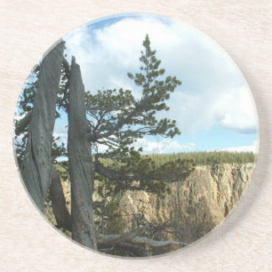 Posavasos De Arenisca Fotografía del parque nacional Yellowstone.