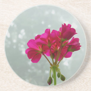 Posavasos De Arenisca Fotografía rosa de geranio en piedra arenisca