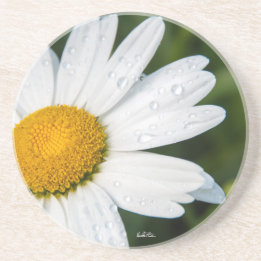 Posavasos De Arenisca fotografía, un margueritte, hacen verde