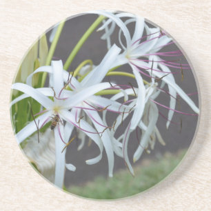 Posavasos De Arenisca Fragrancia floral Sandstone Coaster