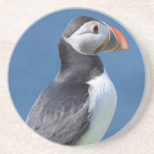 Posavasos De Arenisca Frailecillo Atlántico (Fratercula Arctica) En Acan