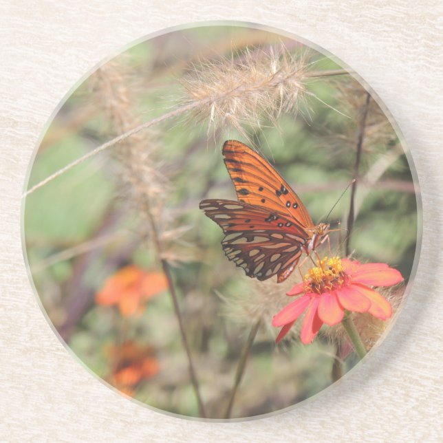 Posavasos De Arenisca Fritillary en el Golfo de Zambia (Frente)