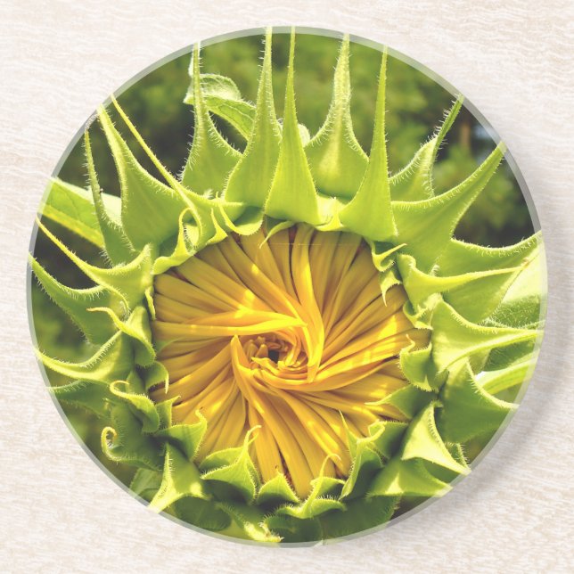 Posavasos De Arenisca Fun amarillo flor girasol (Frente)