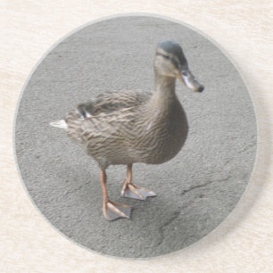 Posavasos De Arenisca Funny Waddling Duck Coasters