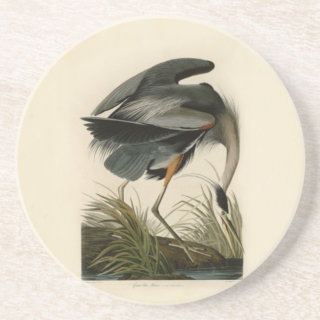 Posavasos De Arenisca Garza azul grande de Audubon Marjal Ave (Frente)