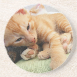 Posavasos De Arenisca Gatito de tigre mate