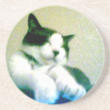 gatito reclinado lindo