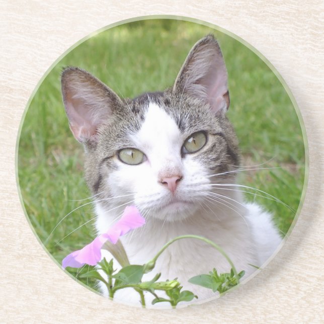 Posavasos De Arenisca Gato de Tabby Blanco y Petunia rosa (Frente)