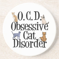 Gato obsesionado