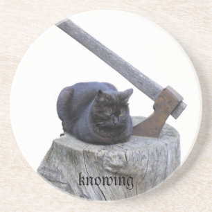 Posavasos De Arenisca gato, sabiendo