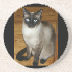 Posavasos De Arenisca Gato siamés mascota animal oficina paz amor destin