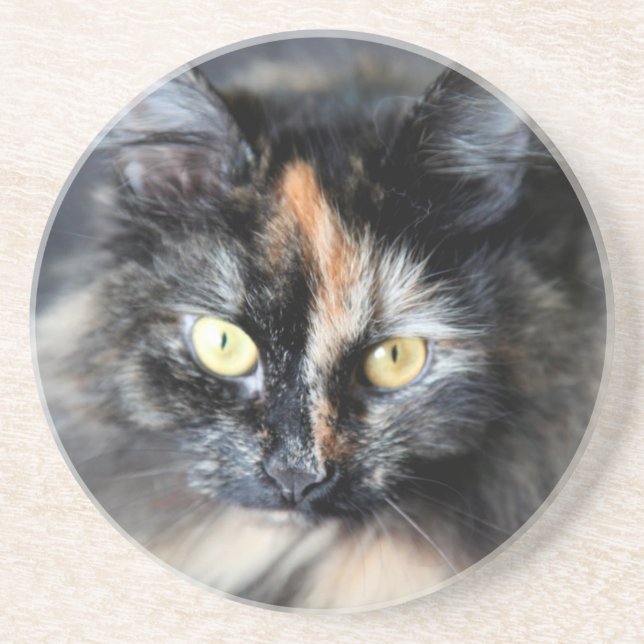 Posavasos De Arenisca Gato Siberiano (Frente)