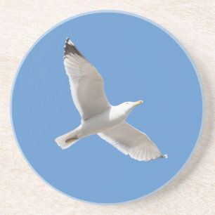 Posavasos De Arenisca Gaviota voladora