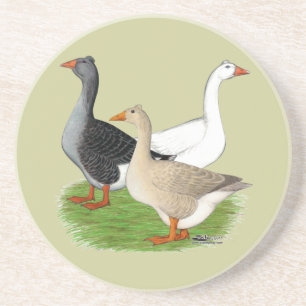 Posavasos De Arenisca Geese: Trio desquiciado
