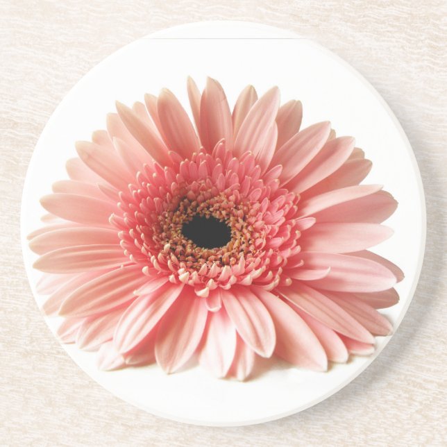 Posavasos De Arenisca Gerbera Daisy (Frente)