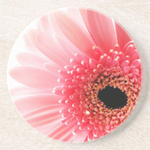 Posavasos De Arenisca Gerbera Daisy