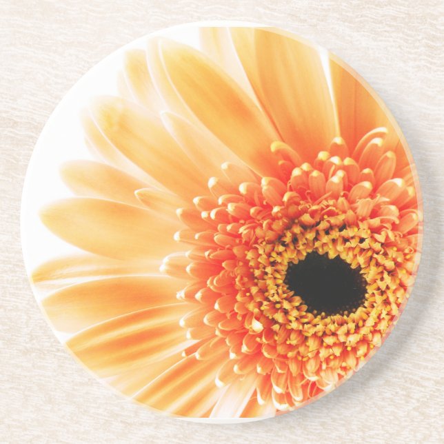 Posavasos De Arenisca Gerbera Daisy (Frente)