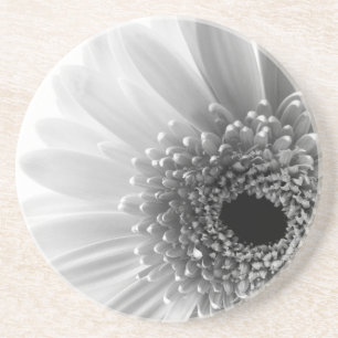 Posavasos De Arenisca Gerbera Daisy