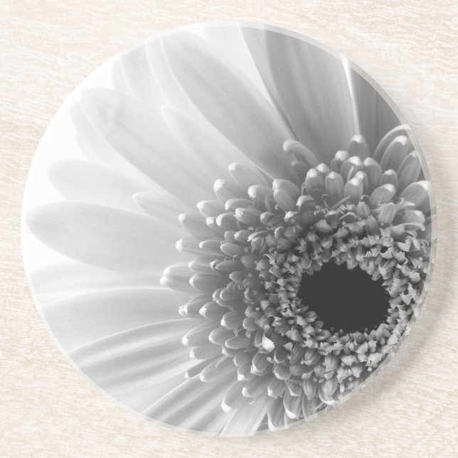Posavasos De Arenisca Gerbera Daisy (Frente)