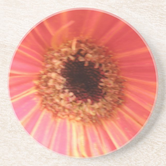 Posavasos De Arenisca Gerbera Daisy Flower Coasters (Frente)