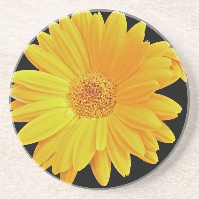 Posavasos De Arenisca Gerbera Daisy (Gerbera hybrida) - Amarillo (Frente)