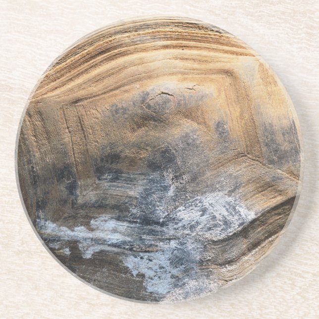 POSAVASOS DE ARENISCA GIANT TORTOISE SHELL (Frente)