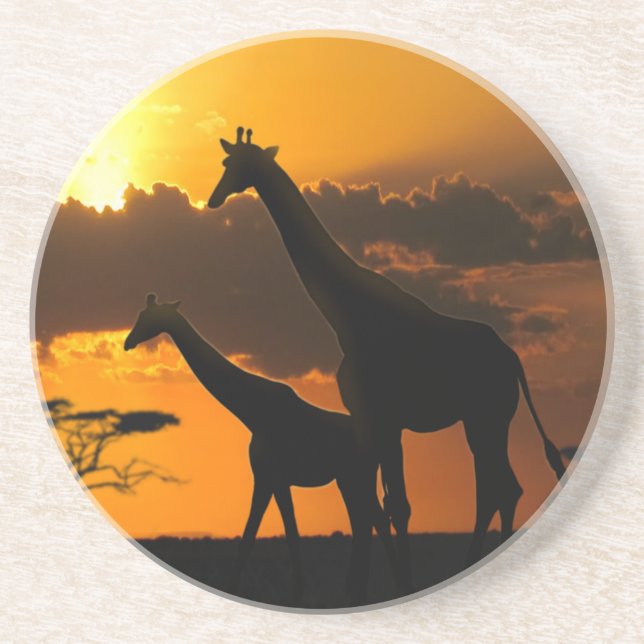 Posavasos De Arenisca Giraffe Family 2 (Frente)