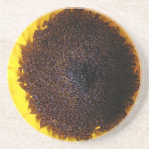 Posavasos de arenisca girasol