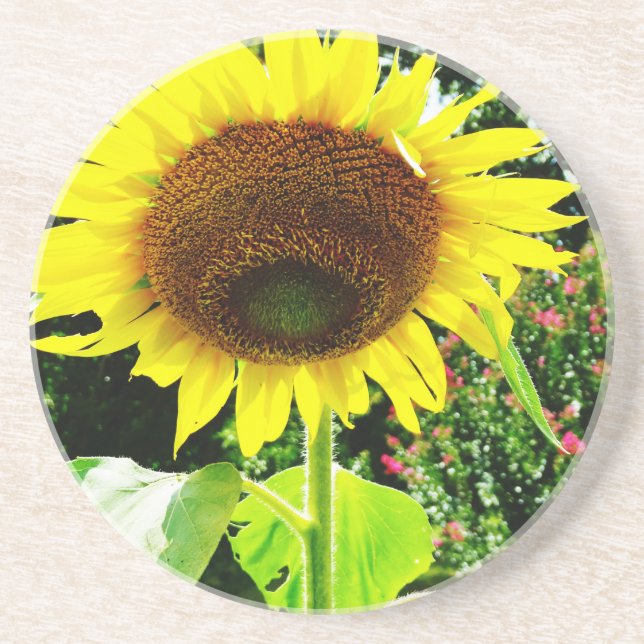Posavasos De Arenisca Girasol amarillo grande (Frente)