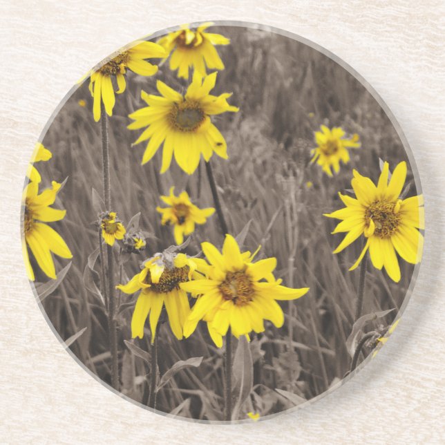 Posavasos De Arenisca Girasol en la Montaña Rocosa (Frente)