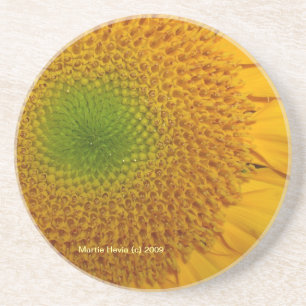 Posavasos De Arenisca Girasol - Pascua