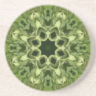 Posavasos De Arenisca Girasol sin abrir
