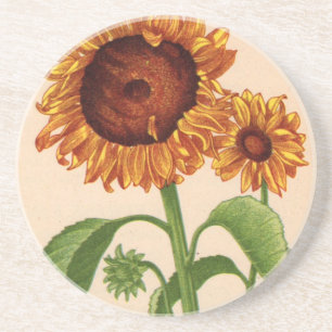 Posavasos De Arenisca girasoles