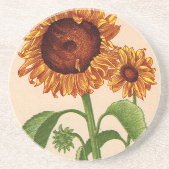 Posavasos De Arenisca girasoles (Frente)