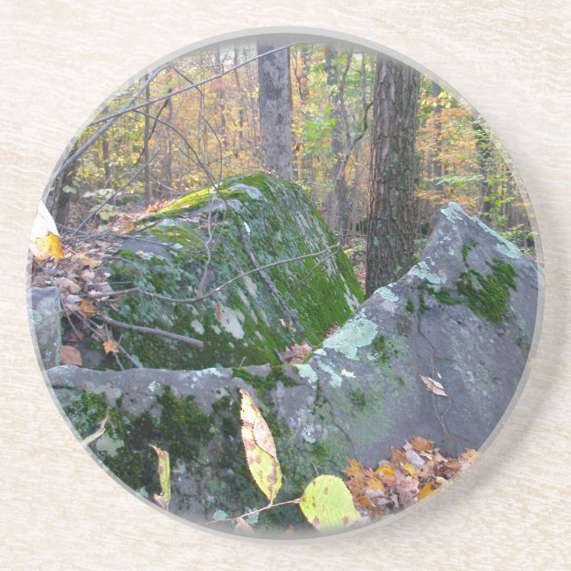 Posavasos De Arenisca Glacial Boulders Montgomery County Pennsylania (Frente)