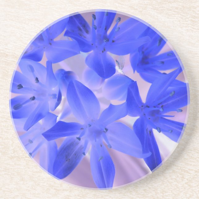 Posavasos De Arenisca Gloria De La Nieve Impactante Ala Azul (Frente)