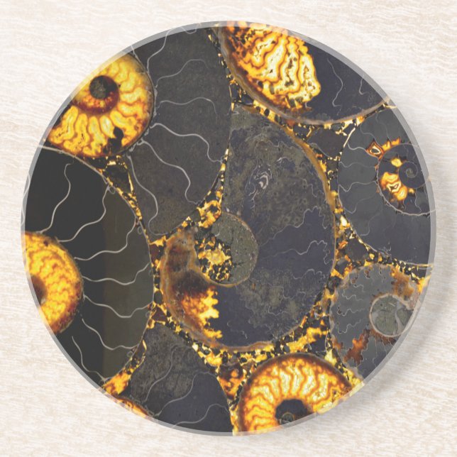 Posavasos De Arenisca Golden Nautilus (Frente)