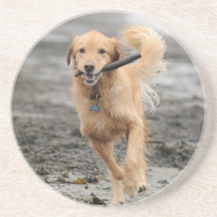 Posavasos De Arenisca Golden Retriever Corriendo Con Palo En La Boca