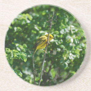 Posavasos De Arenisca Goldfinch