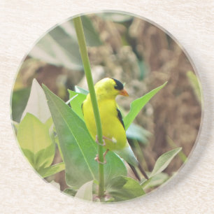 Posavasos De Arenisca Goldfinch
