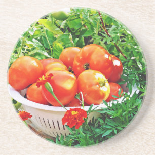 Posavasos De Arenisca Goodies