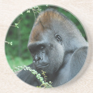Posavasos De Arenisca Gorila severo