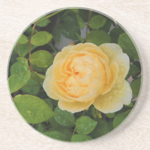 Posavasos De Arenisca Gotas de lluvia en rosa amarillo